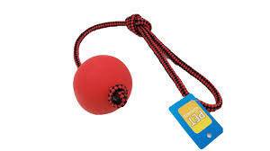 توپ  آموزشی بندار قرمز