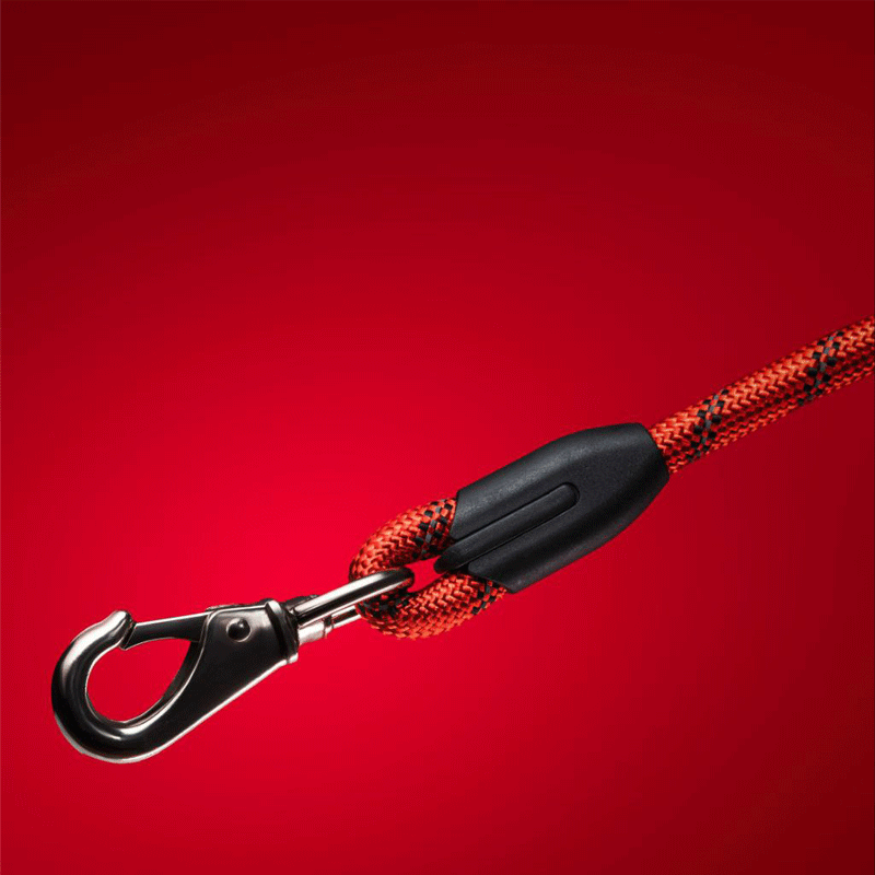 لید تسمه تراست برند پت پلاست