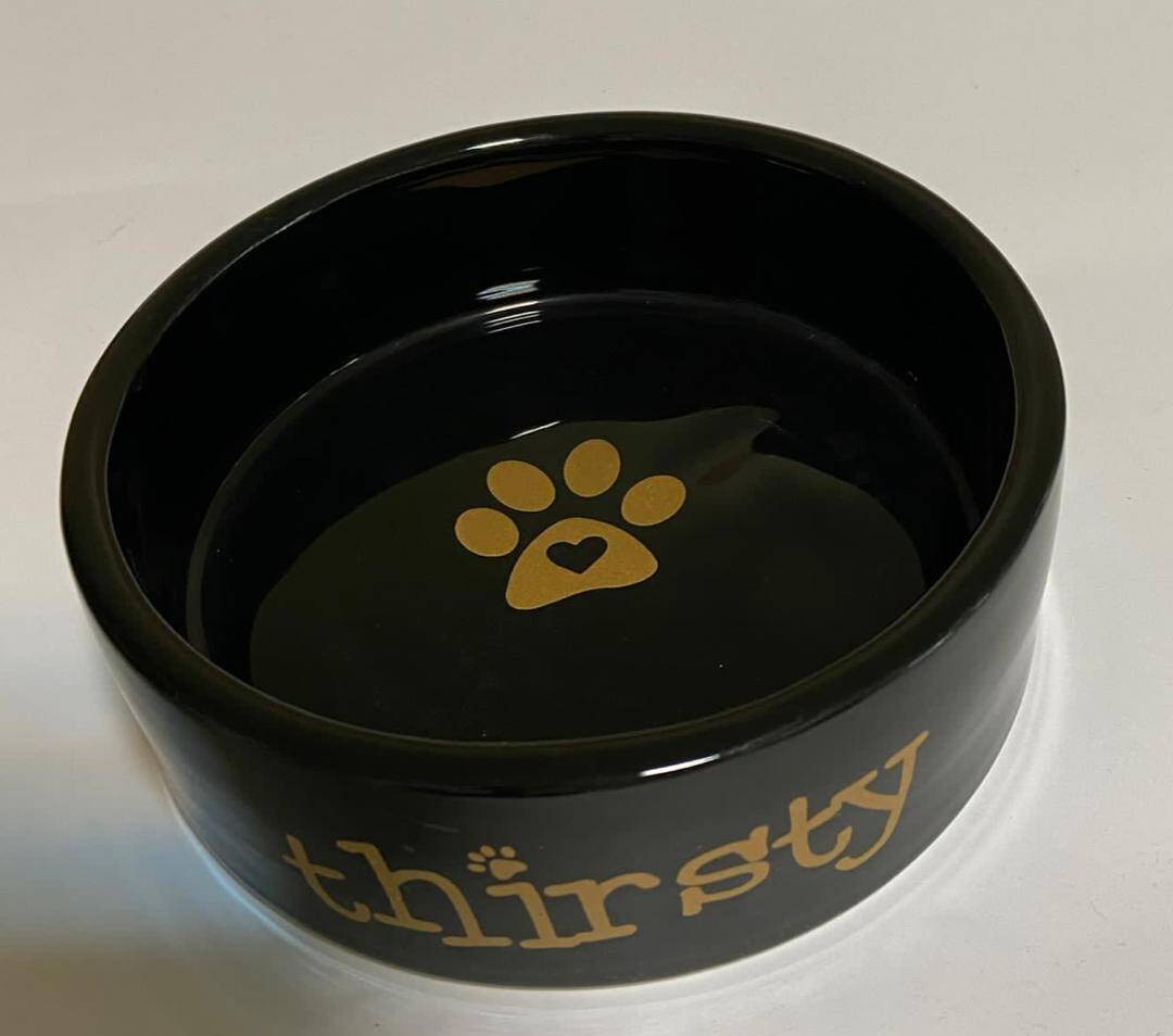 ظرف غذای سرامیکی   Cocopet