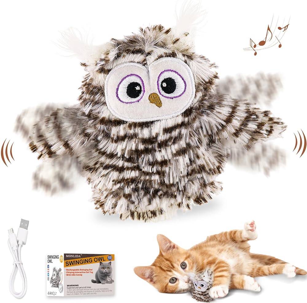 جغد تاب دار