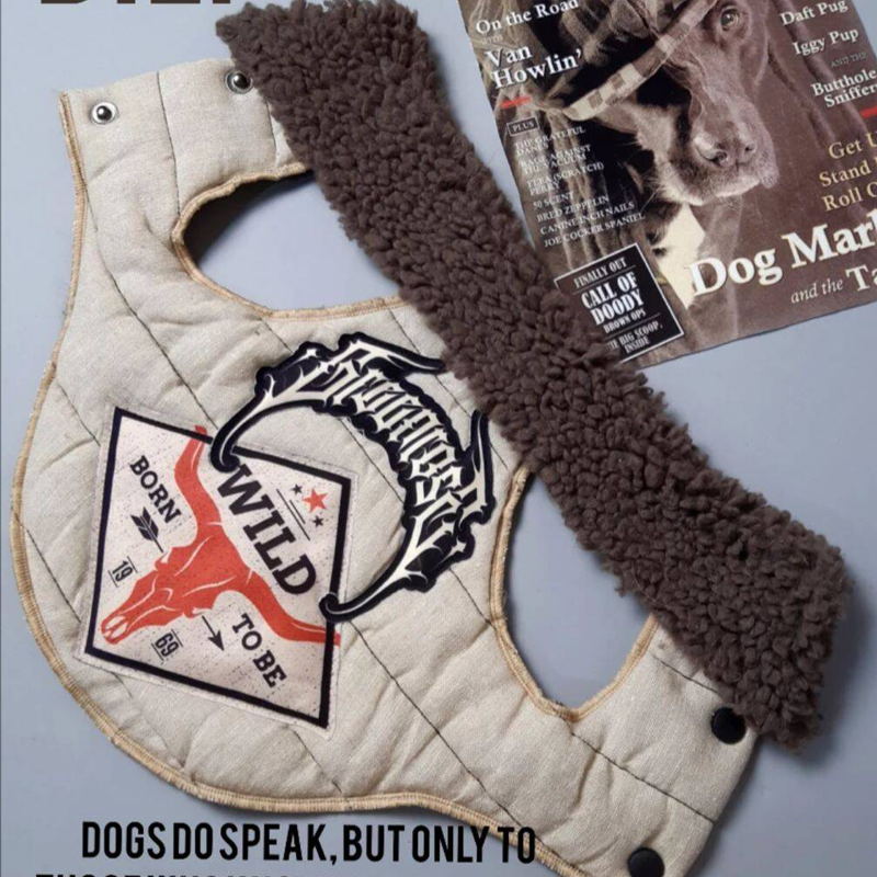 پافر لنین - بیلی لند