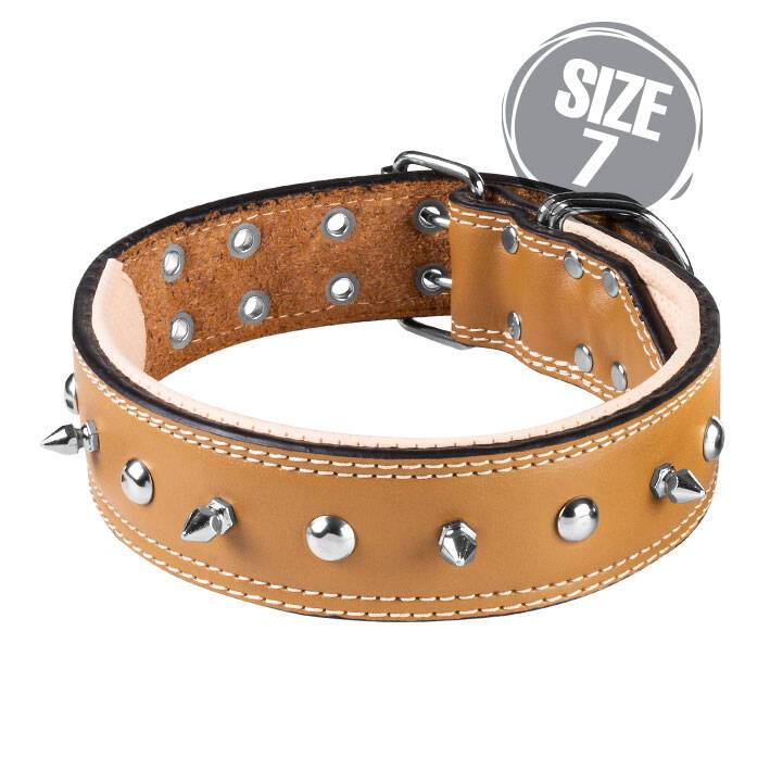 قلاده گردنی پرچ و گارد VIP