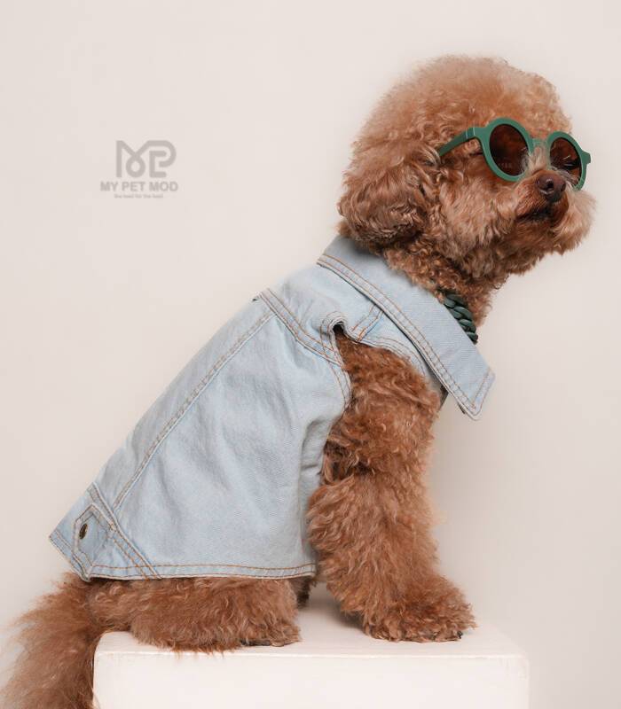 جین وست یخی MP