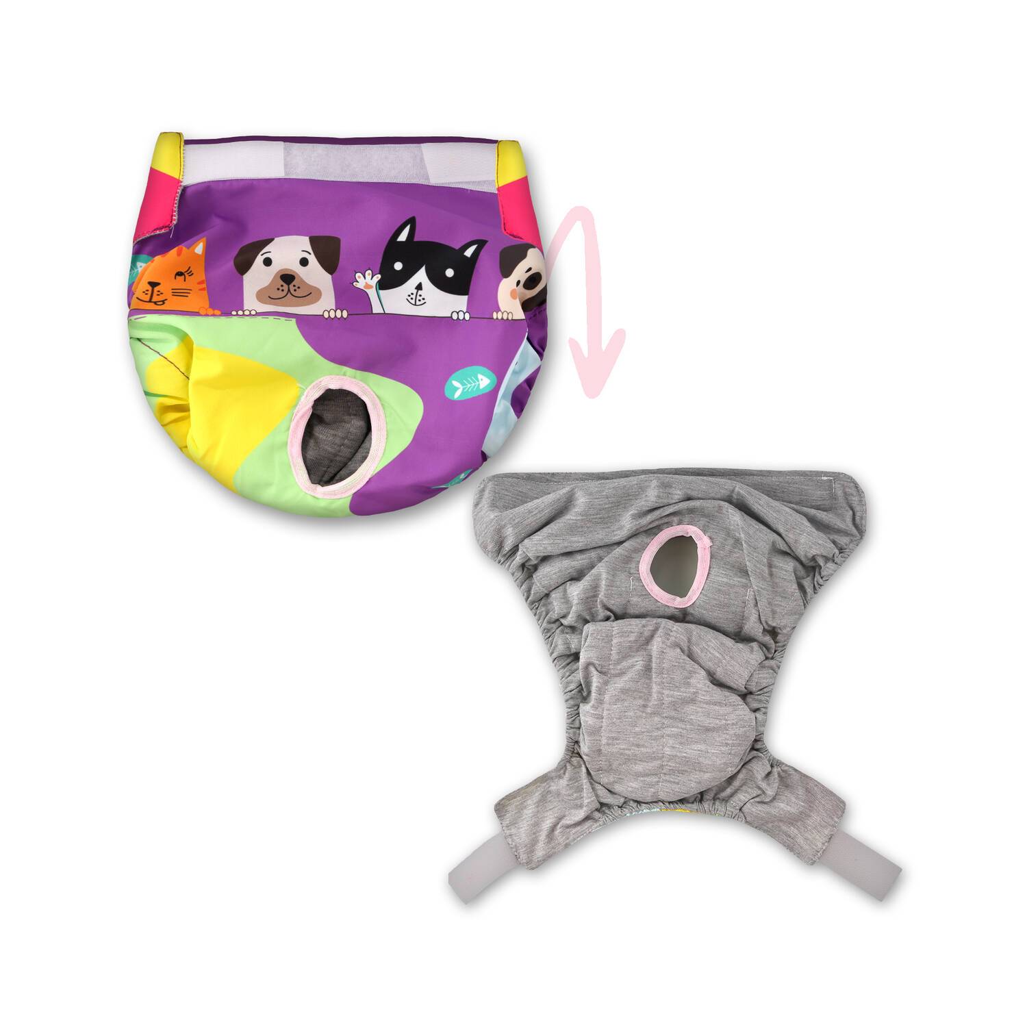 شورتکس سگ ماده برند تادو