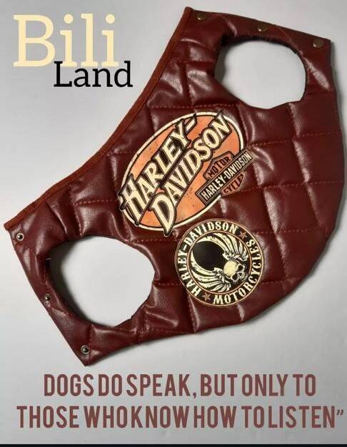 پافر چرم هارلی دیویدسون بیلی لند