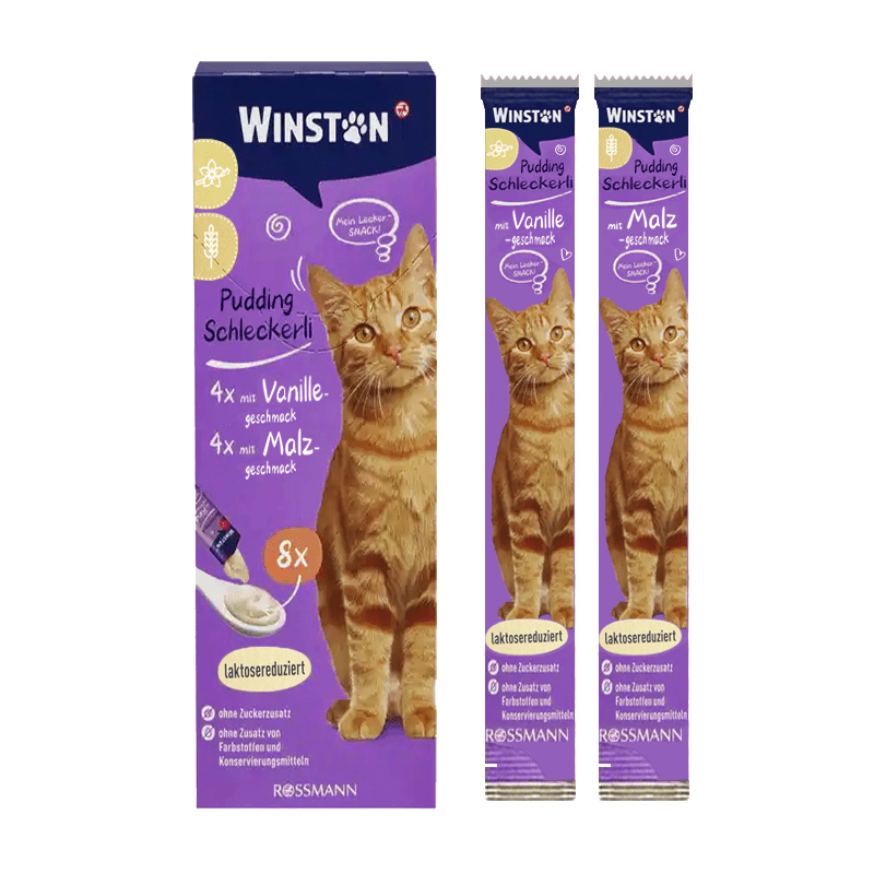 بستنی گربه وینستون با طعم وانیل