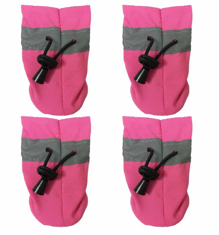 پاپوش سگ سویل