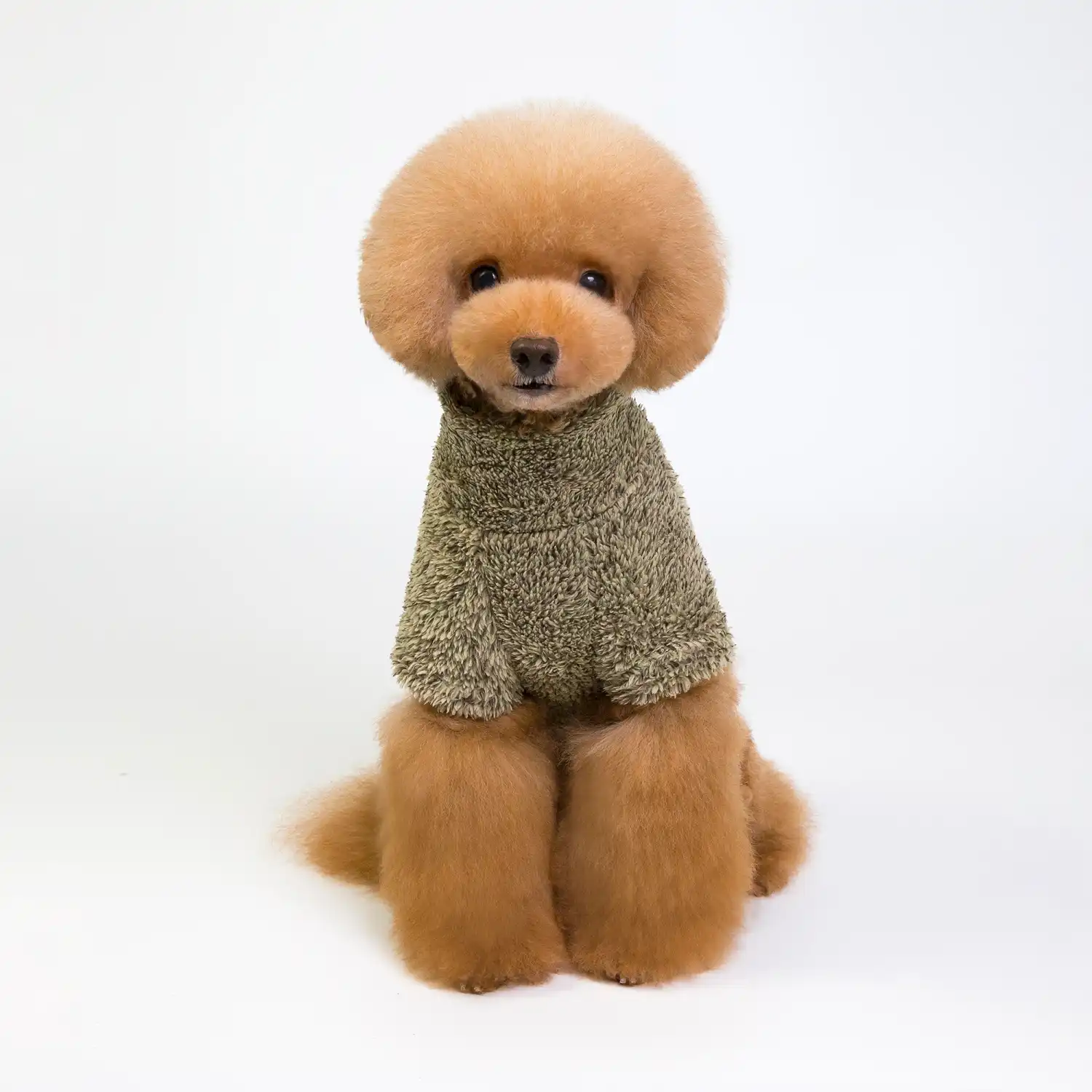 پلیور یقه اسکی