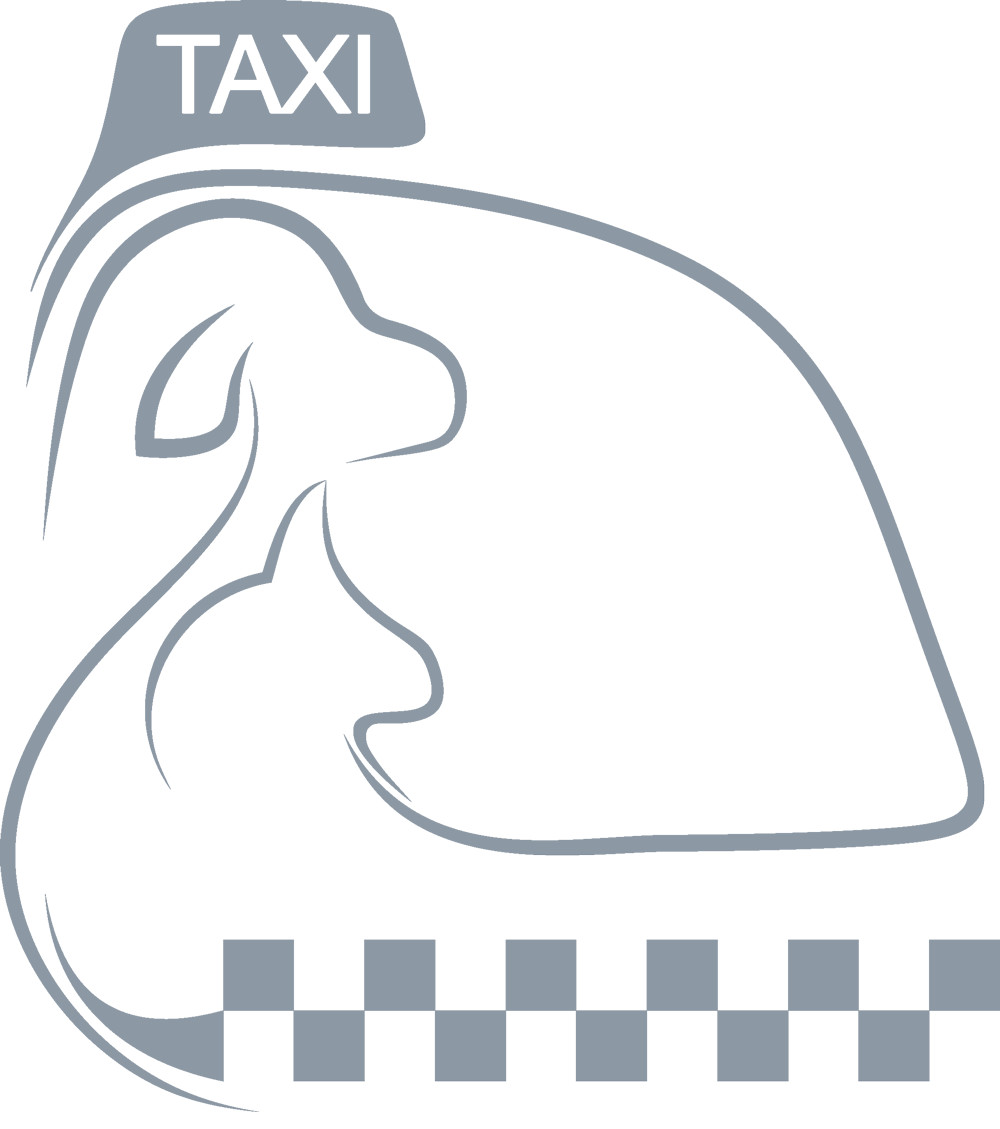 پت تاکسی پت استایلیست